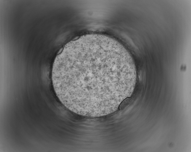 X0000102861396200809151200