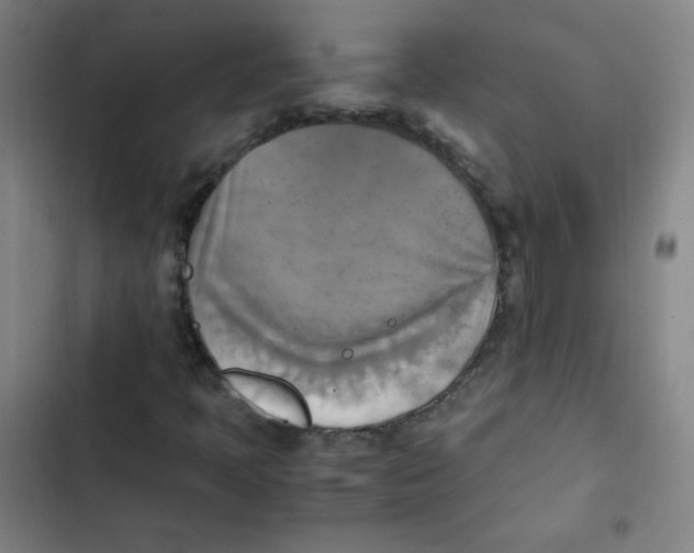 X0000102861397200809151200