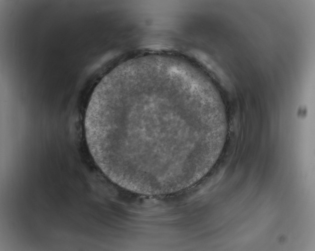 X0000102861398200809151200