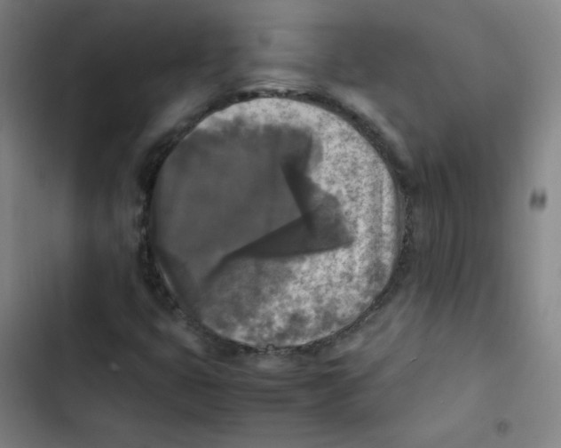 X0000102861399200809151200