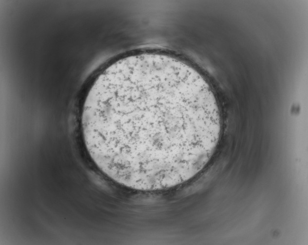 X0000102861400200809151200