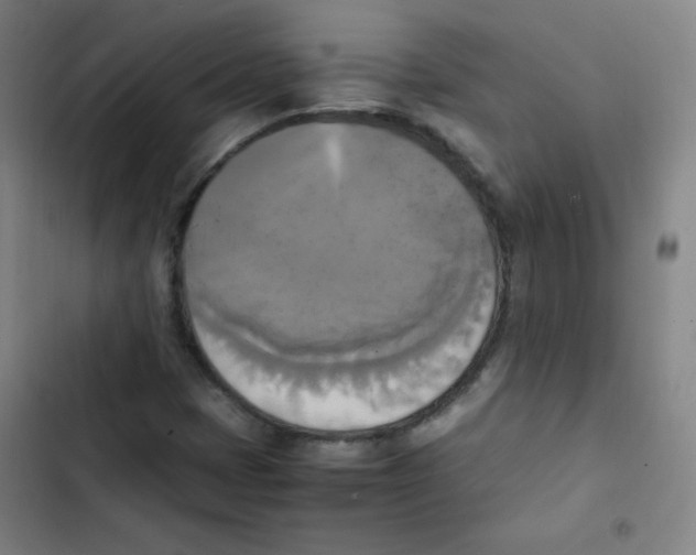 X0000102861401200809151200