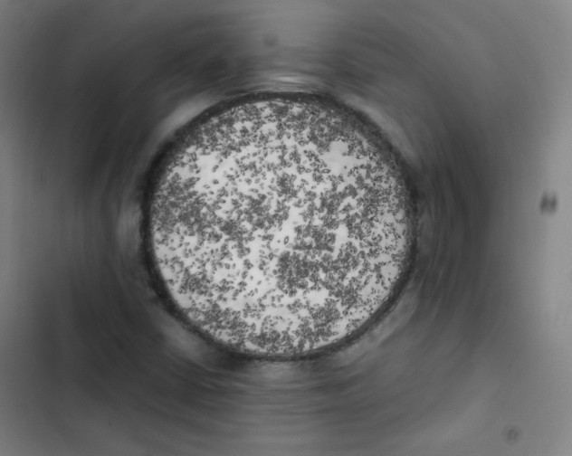 X0000102861402200809151200