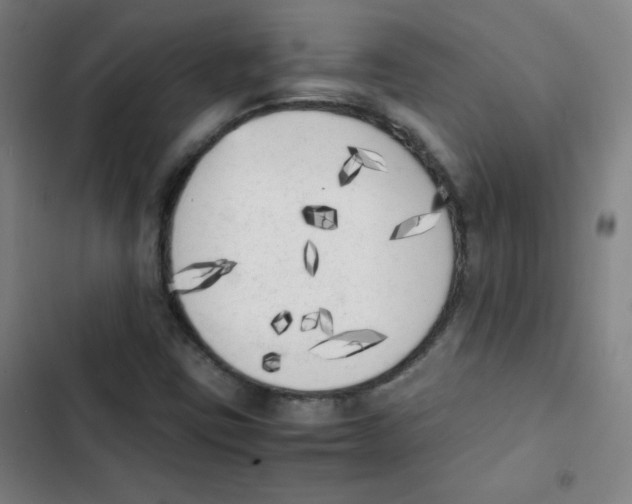 X0000102861403200809151200