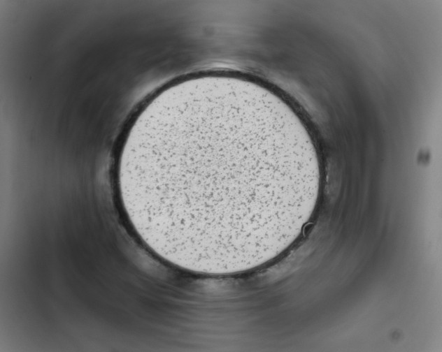 X0000102861404200809151200