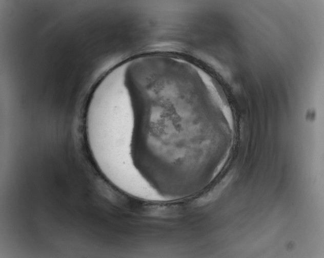 X0000102861405200809151200