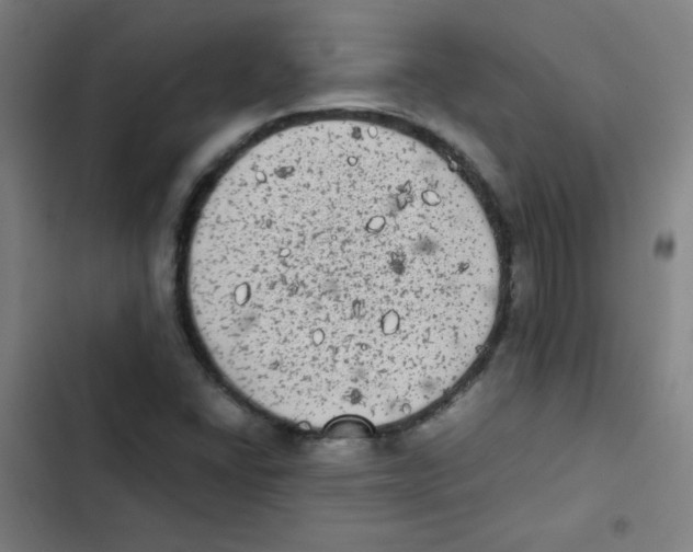 X0000102861406200809151200