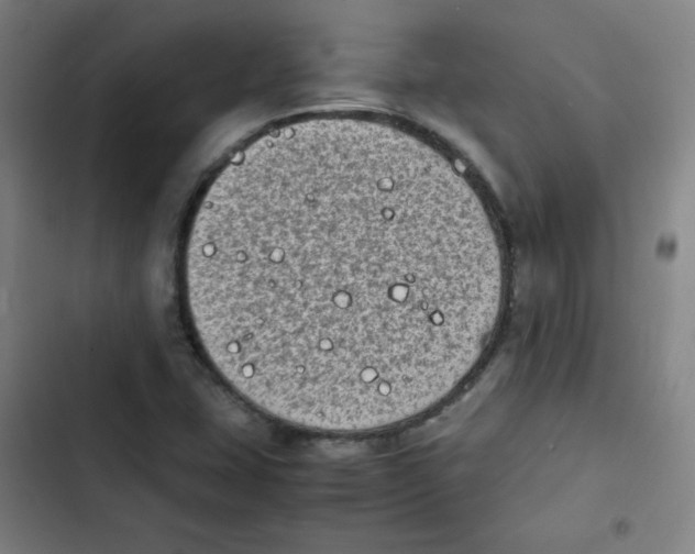 X0000102861407200809151200