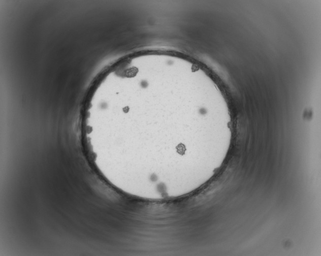 X0000102861408200809151200