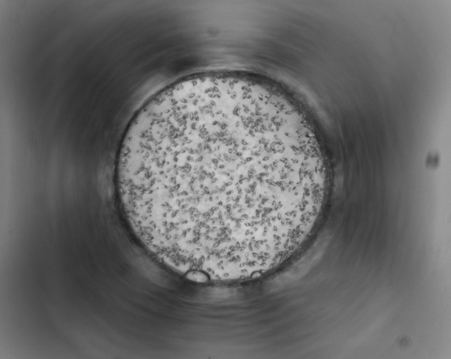 X0000102861409200809151200