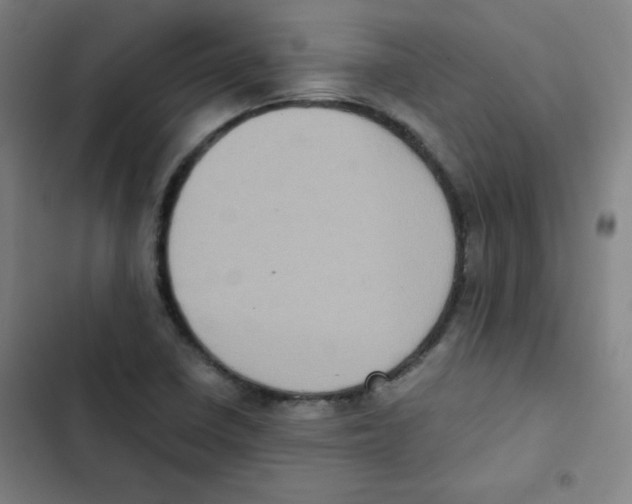 X0000102861410200809151200