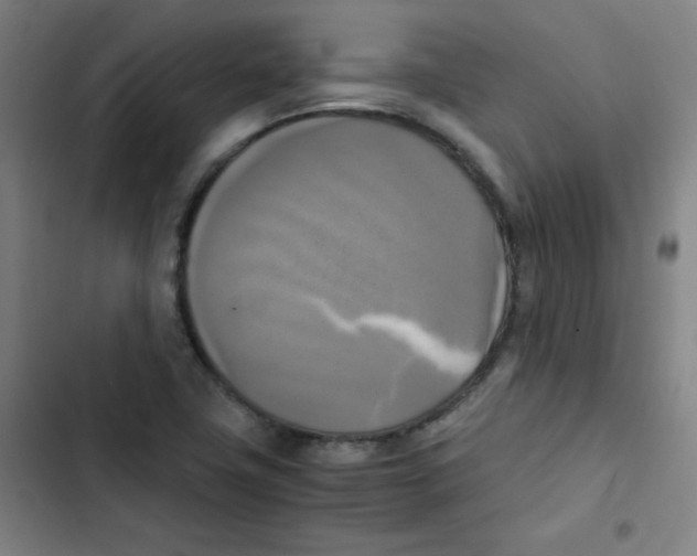 X0000102861411200809151200