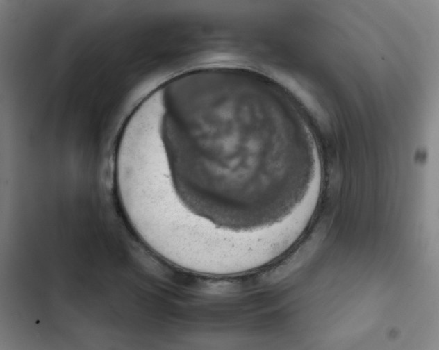 X0000102861413200809151200