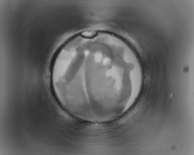 X0000102861414200809151200