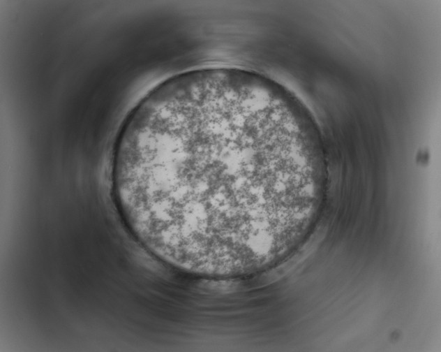 X0000102861415200809151200