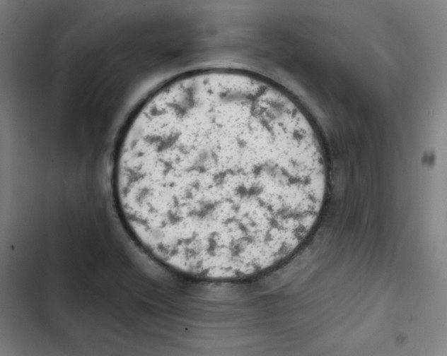 X0000102861416200809151200