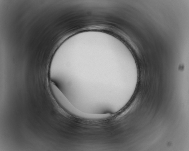 X0000102861417200809151200