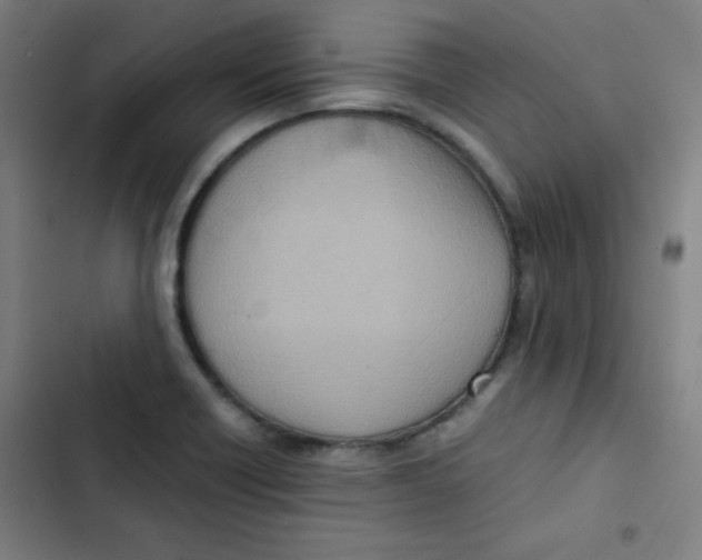 X0000102861418200809151200