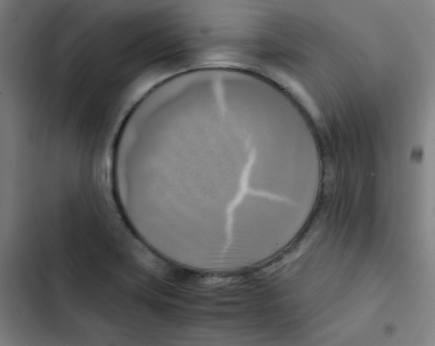 X0000102861419200809151200