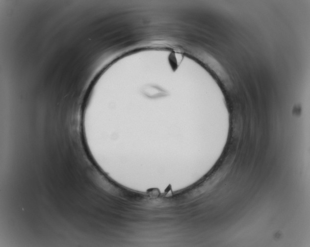 X0000102861420200809151200