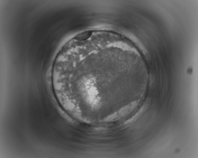 X0000102861421200809151200