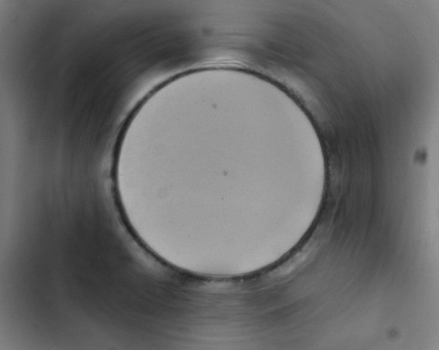 X0000102861422200809151200