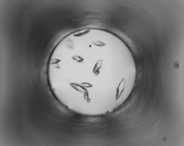 X0000102861423200809151200