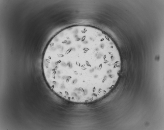 X0000102861424200809151200