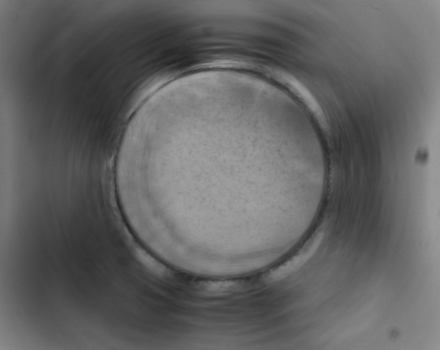 X0000102861425200809151200