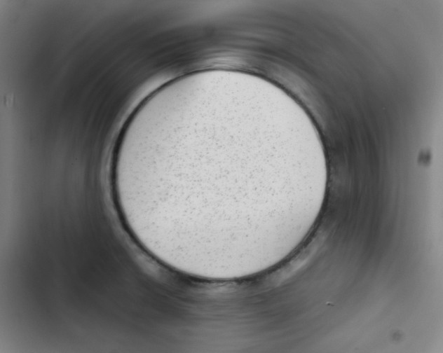 X0000102861426200809151200