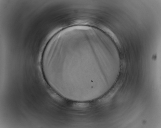 X0000102861427200809151200