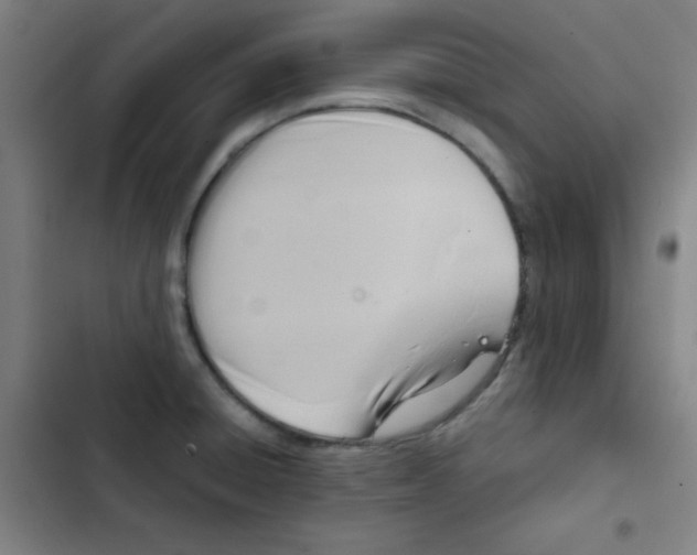 X0000102861428200809151200