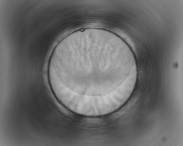 X0000102861429200809151200