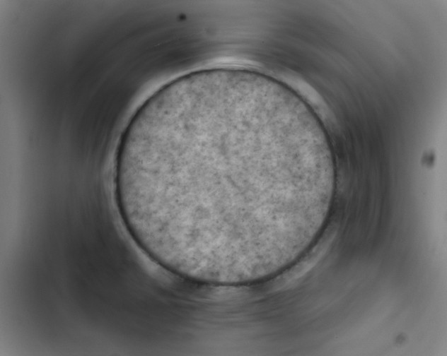 X0000102861430200809151200