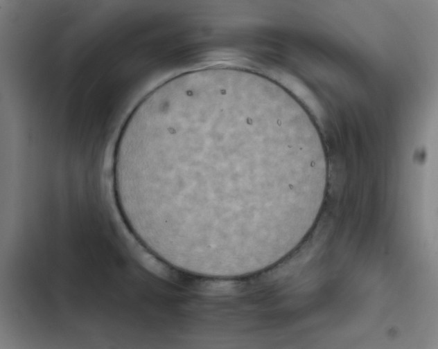 X0000102861431200809151200