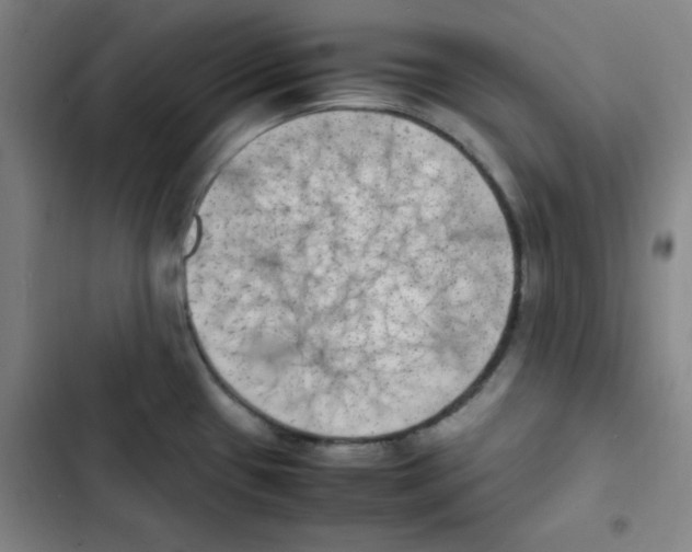 X0000102861433200809151200