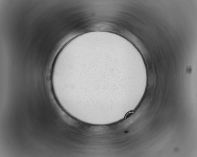 X0000102861434200809151200