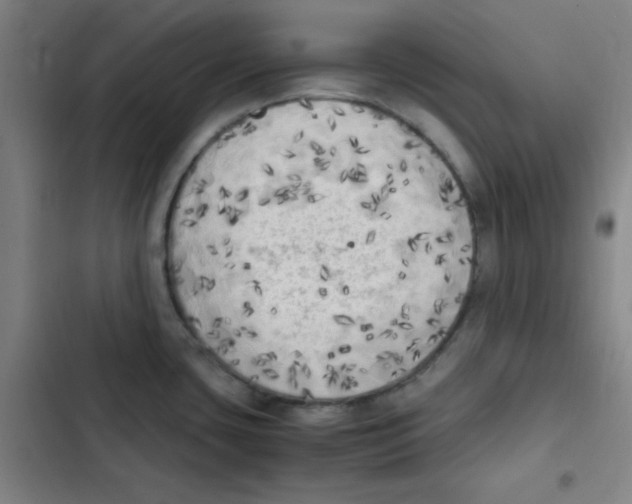 X0000102861435200809151200