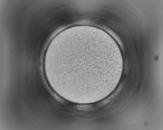 X0000102861437200809151200