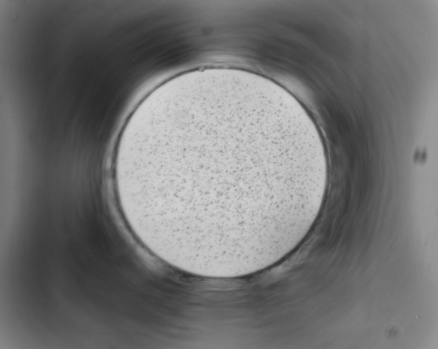 X0000102861440200809151200