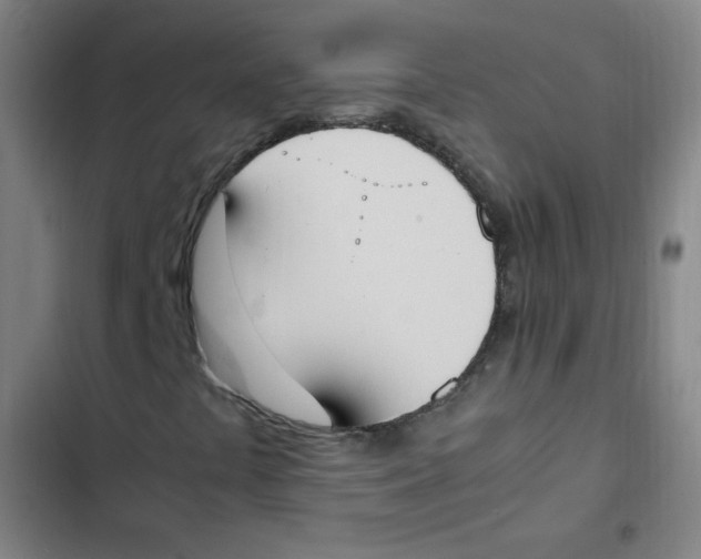 X0000102861441200809151159