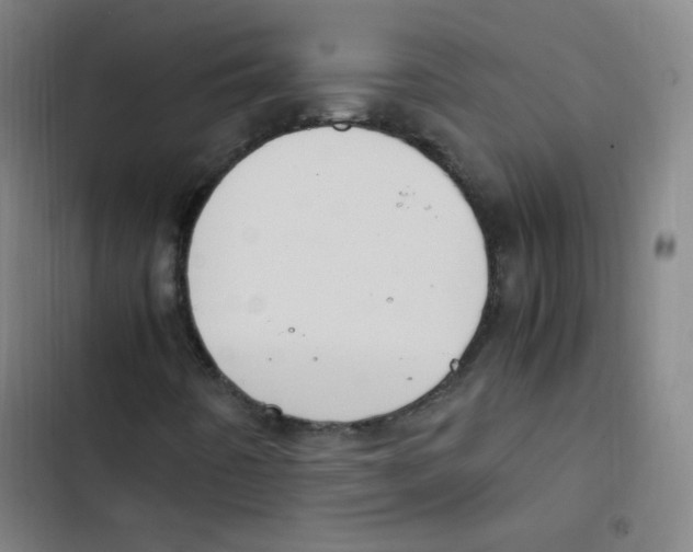 X0000102861442200809151159