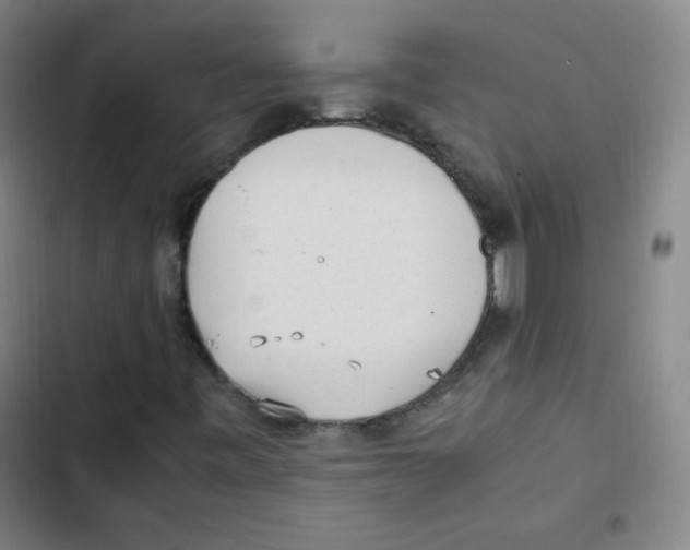 X0000102861443200809151159