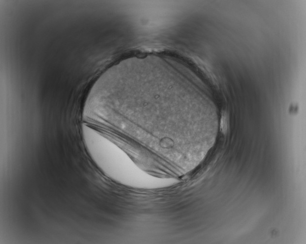 X0000102861444200809151159