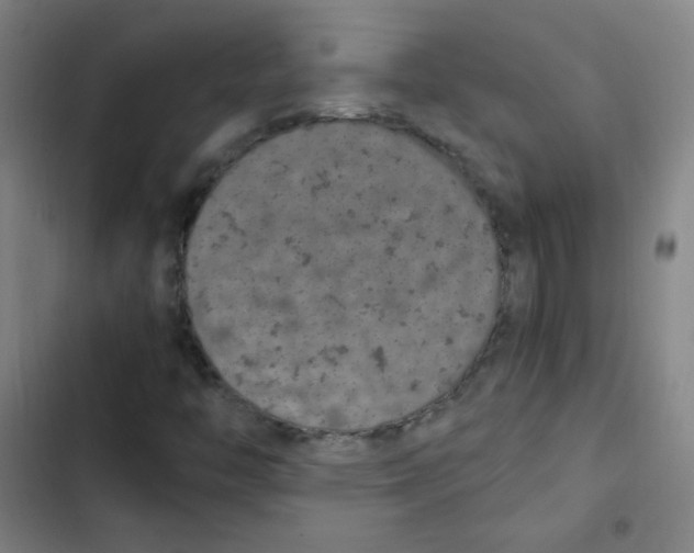 X0000102861446200809151159