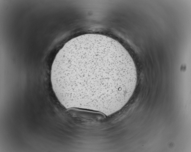 X0000102861447200809151159