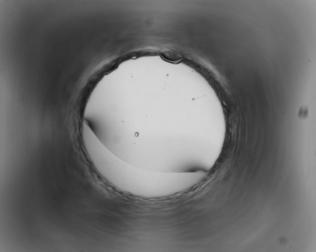 X0000102861448200809151159