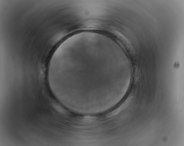 X0000102861449200809151159