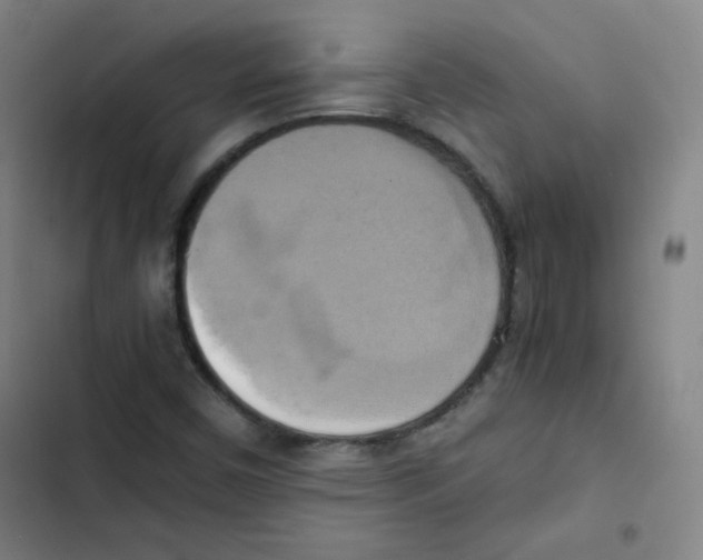 X0000102861450200809151159