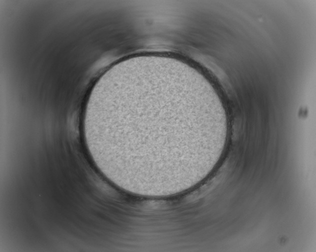 X0000102861451200809151159